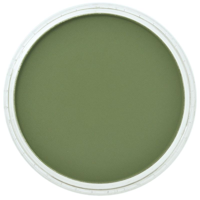 PanPastel Chromium Oxide Green Shade
