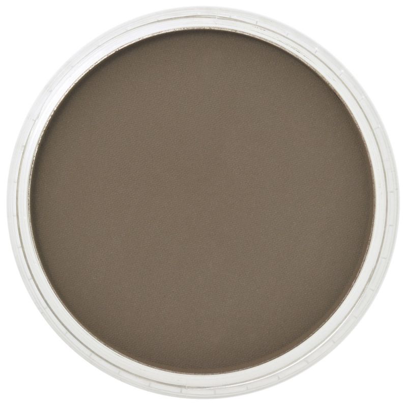 PanPastel Raw Umber Shade