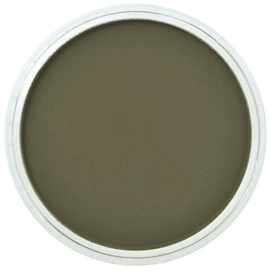 PanPastel Extra Dark Bright Yellow Green