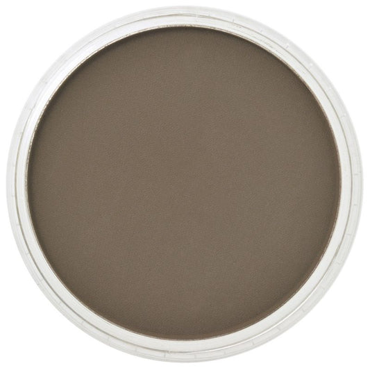 PanPastel Raw Umber Shade